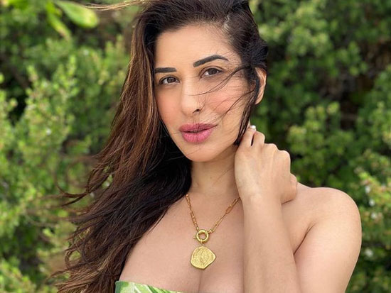 Vivacious Looks Of Sophie Choudry